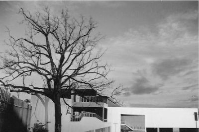 "Horizons" - Tacoma Art Museum Tacoma, Washington